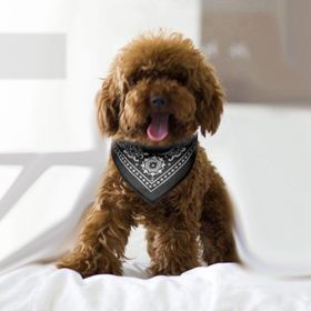 Adjustable Bandana Leather Pet Collar Triangle Scarf (Option: black_l)